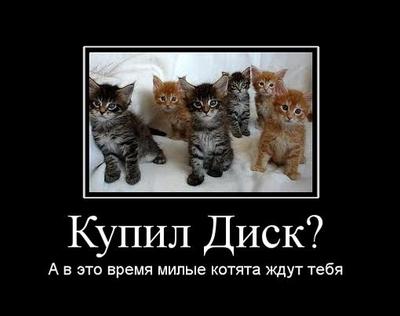 Клуб Shop.оglиков. Встреча #3 - Изображение 6 Клуб Shop.оglиков. Встреча #3 - Изображение 6