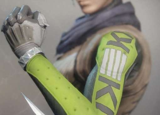 Разработчики Destiny 2 извиняются за расистский КЕК на перчатке в игре